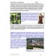 ROCROI-VEZELAY GIDS - DOWNLOADBAAR - NL - 2024-2